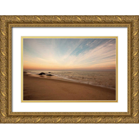 Marthas Vineyard Beach II Gold Ornate Wood Framed Art Print with Double Matting by Aledanda