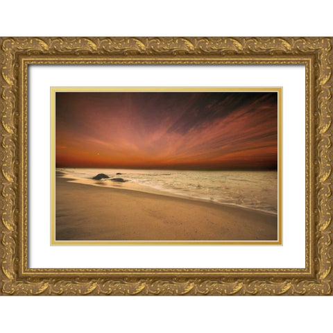Marthas Vineyard Beach III Gold Ornate Wood Framed Art Print with Double Matting by Aledanda