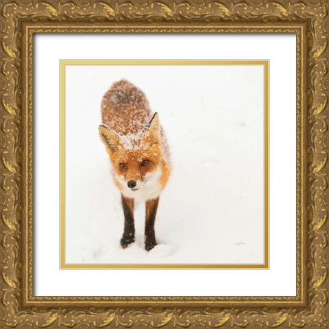 Red Fox I Gold Ornate Wood Framed Art Print with Double Matting by Aledanda
