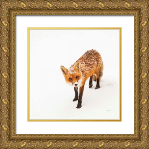 Red Fox II Gold Ornate Wood Framed Art Print with Double Matting by Aledanda