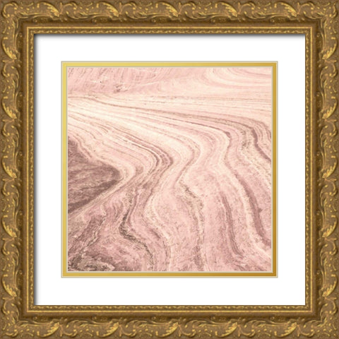 Coyote Buttes V Blush Crop Gold Ornate Wood Framed Art Print with Double Matting by Majchrowicz, Alan