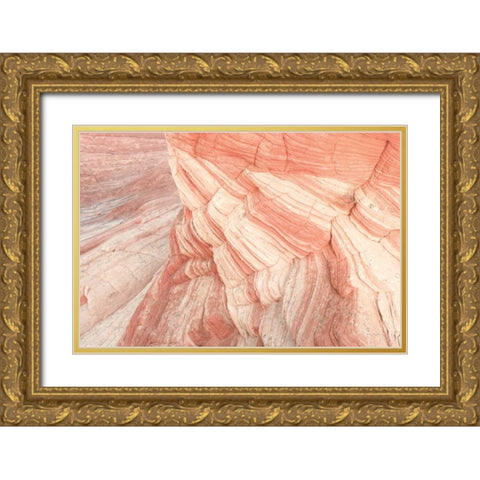 Coyote Buttes VII Blush Gold Ornate Wood Framed Art Print with Double Matting by Majchrowicz, Alan