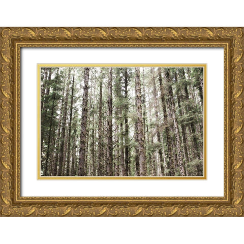 Mossy Pines Gold Ornate Wood Framed Art Print with Double Matting by Marshall, Laura
