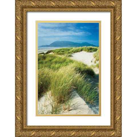 Oregon Dunes Grass Gold Ornate Wood Framed Art Print with Double Matting by Majchrowicz, Alan
