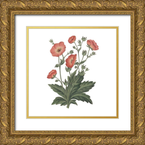 Monument Etching Tile Flowers V Gold Ornate Wood Framed Art Print with Double Matting by Wild Apple Portfolio