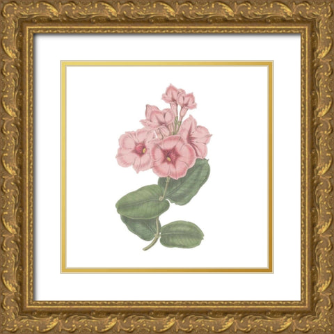 Monument Etching Tile Flowers VI Gold Ornate Wood Framed Art Print with Double Matting by Wild Apple Portfolio