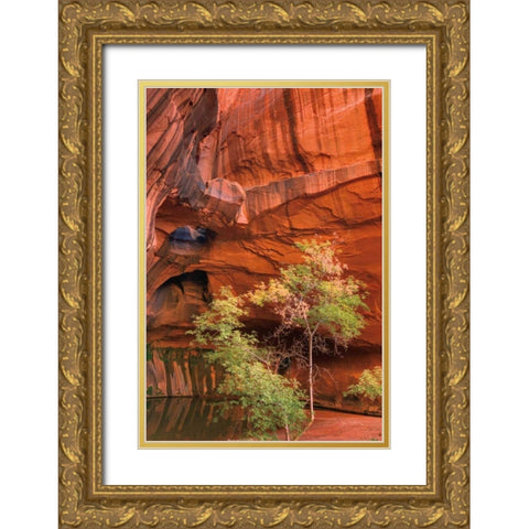 Neon Canyon III Gold Ornate Wood Framed Art Print with Double Matting by Majchrowicz, Alan