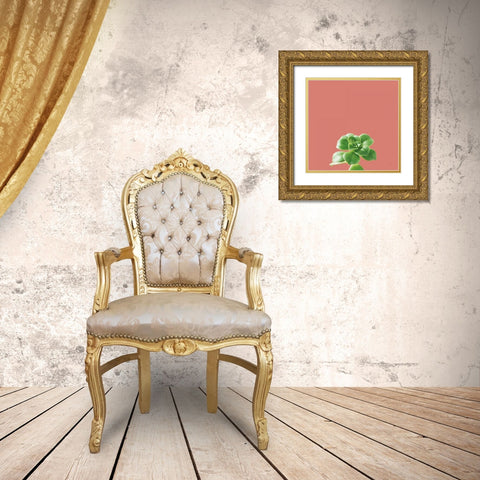 Succulent Simplicity VII Coral Gold Ornate Wood Framed Art Print with Double Matting by Bradley, Felicity