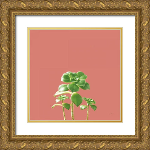 Succulent Simplicity IX Coral Gold Ornate Wood Framed Art Print with Double Matting by Bradley, Felicity