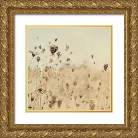 Falling Queen Annes Lace II Crop Sepia Gold Ornate Wood Framed Art Print with Double Matting by Urquhart, Elizabeth