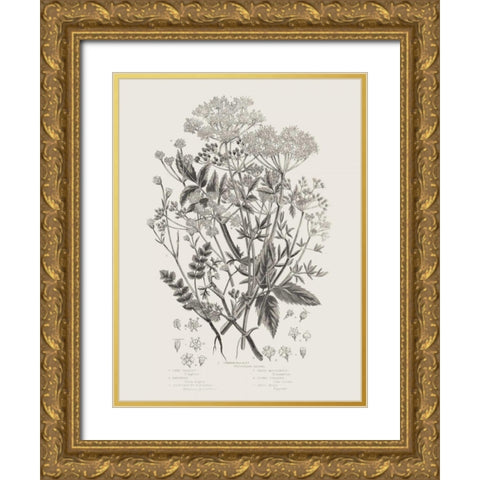 Flowering Plants I Neutral Gold Ornate Wood Framed Art Print with Double Matting by Wild Apple Portfolio