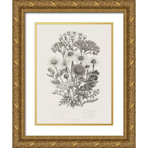 Flowering Plants V Neutral Gold Ornate Wood Framed Art Print with Double Matting by Wild Apple Portfolio