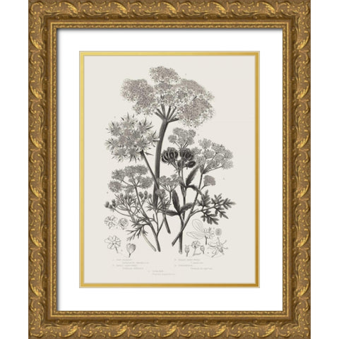 Flowering Plants VI Neutral Gold Ornate Wood Framed Art Print with Double Matting by Wild Apple Portfolio