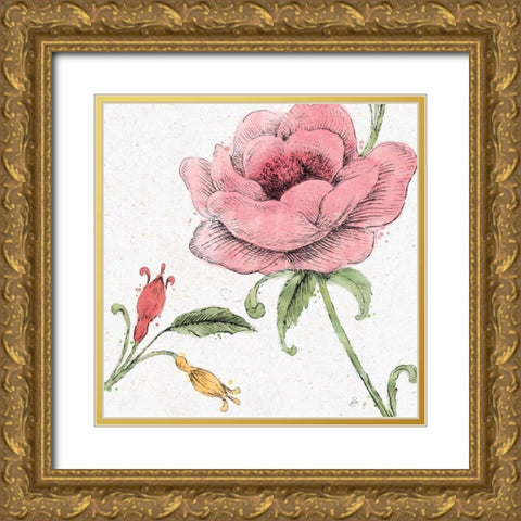 Blossom Sketches II Color Gold Ornate Wood Framed Art Print with Double Matting by Brissonnet, Daphne