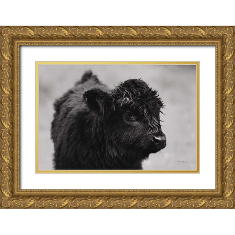 Scottish Highland Cattle XI BW Gold Ornate Wood Framed Art Print with Double Matting by Majchrowicz, Alan