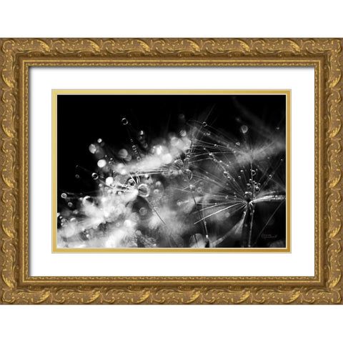 Dandelion Abstract II Gold Ornate Wood Framed Art Print with Double Matting by Marshall, Laura
