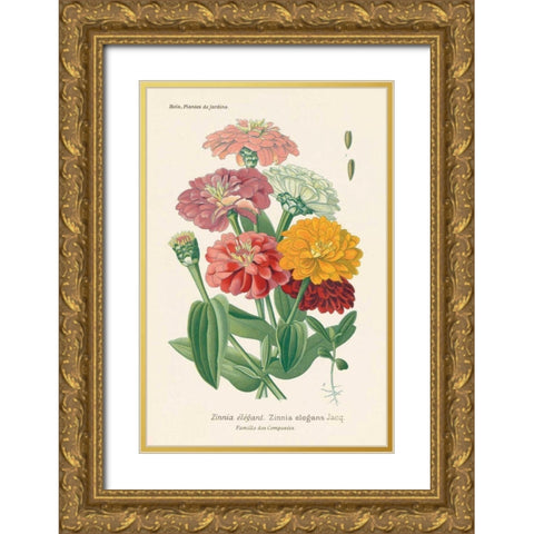 Antique Botanical XLI Light Gold Ornate Wood Framed Art Print with Double Matting by Wild Apple Portfolio