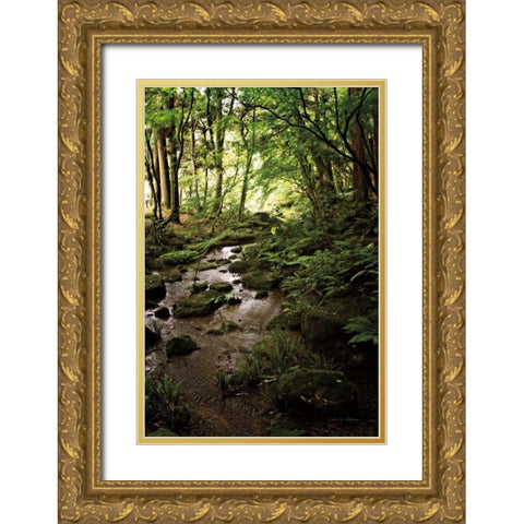 Lush Creek in Forest Gold Ornate Wood Framed Art Print with Double Matting by Van Swearingen, Debra