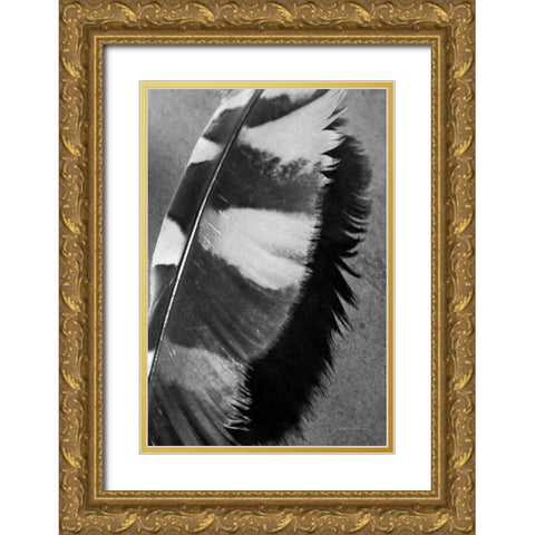 Feather Shadow I Gold Ornate Wood Framed Art Print with Double Matting by Van Swearingen, Debra