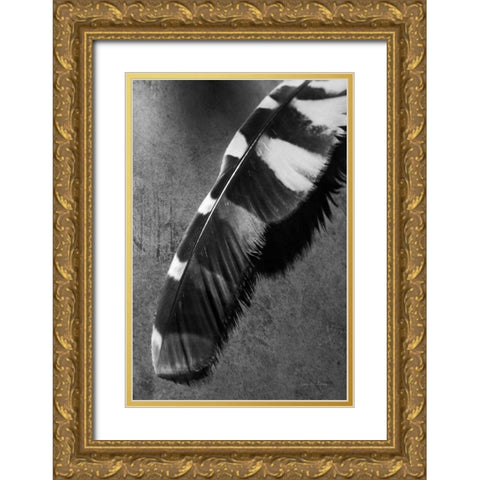 Feather Shadow II Gold Ornate Wood Framed Art Print with Double Matting by Van Swearingen, Debra