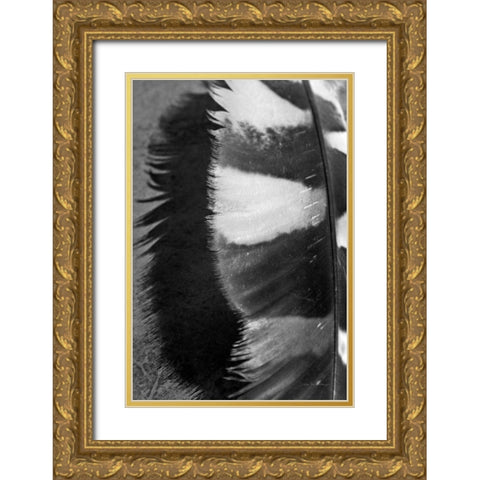Feather Shadow III Gold Ornate Wood Framed Art Print with Double Matting by Van Swearingen, Debra