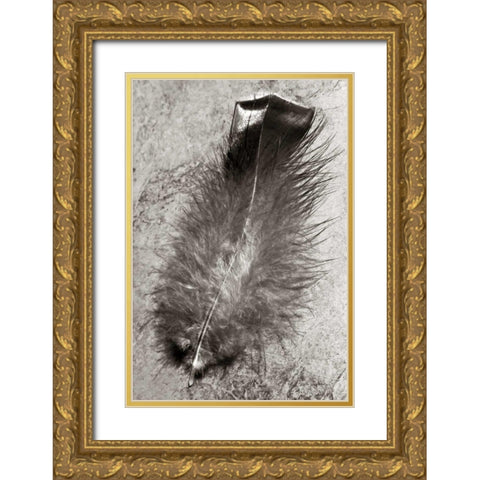 Feather Shadow IV Gold Ornate Wood Framed Art Print with Double Matting by Van Swearingen, Debra