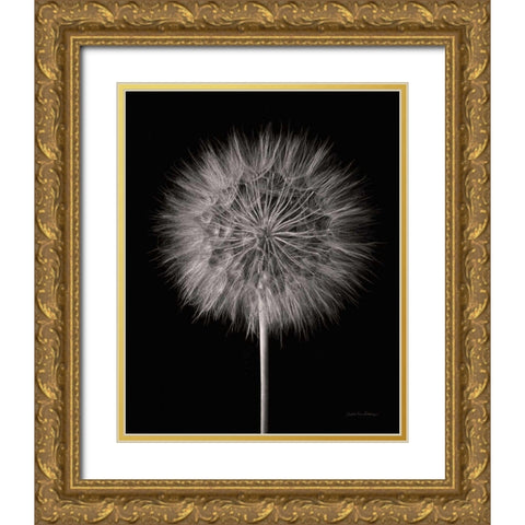 Dandelion Fluff on Black Gold Ornate Wood Framed Art Print with Double Matting by Van Swearingen, Debra