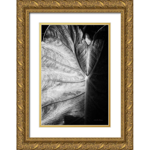 Elephant Ear I Gold Ornate Wood Framed Art Print with Double Matting by Van Swearingen, Debra