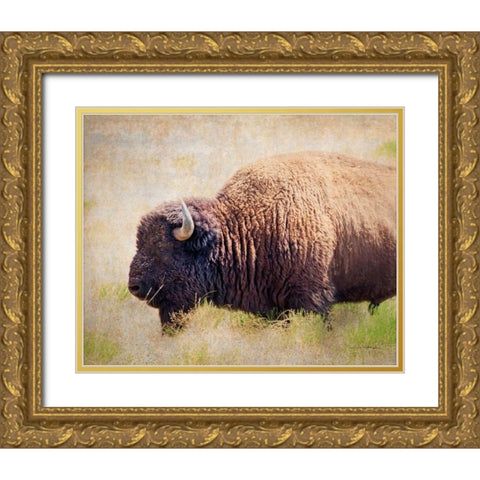 Buffalo II Gold Ornate Wood Framed Art Print with Double Matting by Van Swearingen, Debra