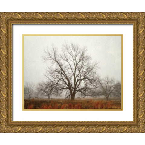 Morning Calm I Gold Ornate Wood Framed Art Print with Double Matting by Van Swearingen, Debra