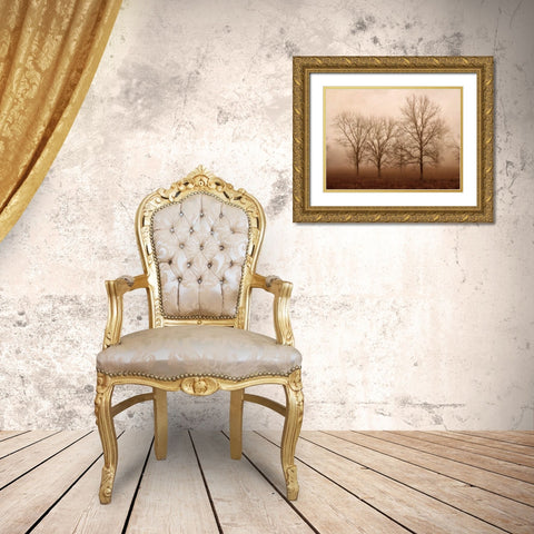 Morning Calm III Gold Ornate Wood Framed Art Print with Double Matting by Van Swearingen, Debra