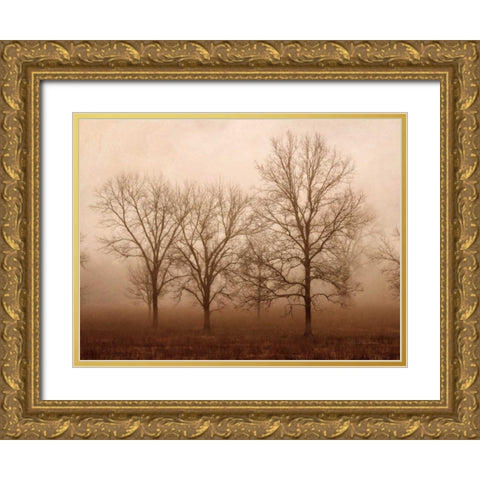 Morning Calm III Gold Ornate Wood Framed Art Print with Double Matting by Van Swearingen, Debra