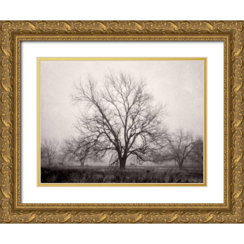 Morning Calm I BW Gold Ornate Wood Framed Art Print with Double Matting by Van Swearingen, Debra