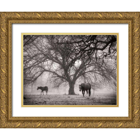 Morning Calm II BW Gold Ornate Wood Framed Art Print with Double Matting by Van Swearingen, Debra