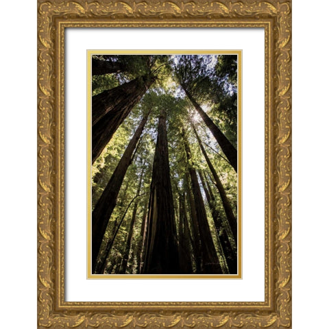 The Stand Gold Ornate Wood Framed Art Print with Double Matting by Van Swearingen, Debra