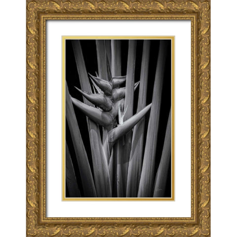 Tropical I Gold Ornate Wood Framed Art Print with Double Matting by Aledanda