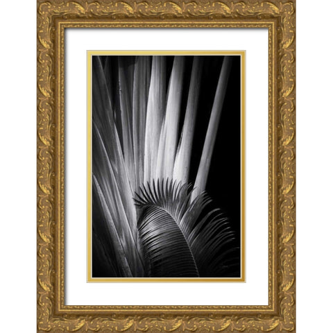 Tropical II Gold Ornate Wood Framed Art Print with Double Matting by Aledanda