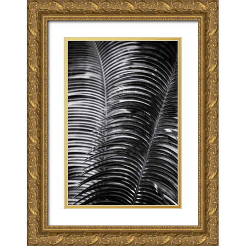 Tropical III Gold Ornate Wood Framed Art Print with Double Matting by Aledanda
