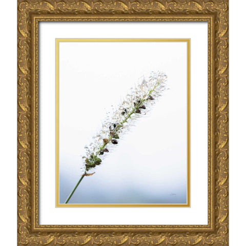 Seeds and Water I Gold Ornate Wood Framed Art Print with Double Matting by Aledanda