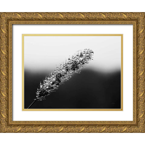 Seeds and Water II Gold Ornate Wood Framed Art Print with Double Matting by Aledanda