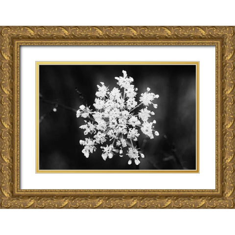 Diamond Brooch Gold Ornate Wood Framed Art Print with Double Matting by Aledanda