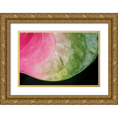 Pink and Green Gold Ornate Wood Framed Art Print with Double Matting by Aledanda