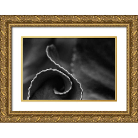 Circling Around Gold Ornate Wood Framed Art Print with Double Matting by Aledanda