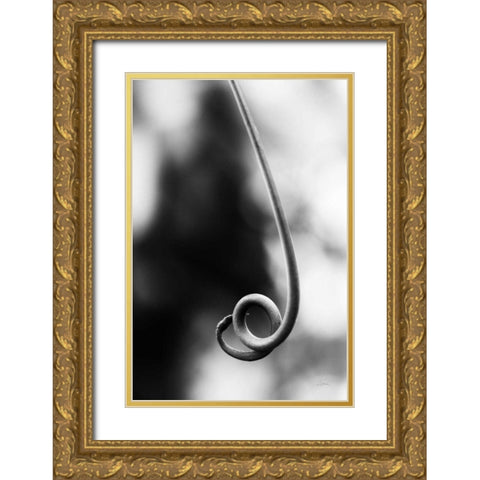 Curly Cue Gold Ornate Wood Framed Art Print with Double Matting by Aledanda