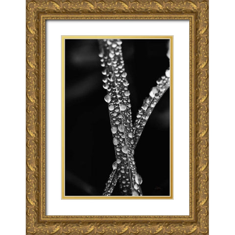 Water Droplets Gold Ornate Wood Framed Art Print with Double Matting by Aledanda