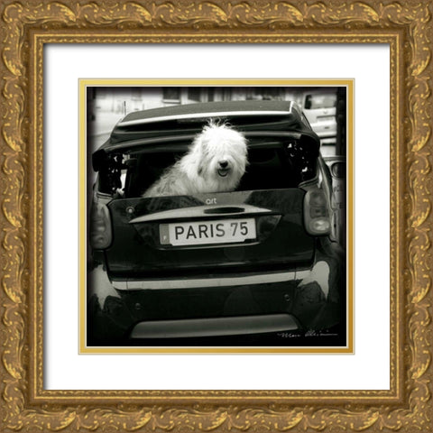 Paris Dog I Gold Ornate Wood Framed Art Print with Double Matting by Olivier, Marc