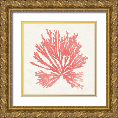 Pacific Sea Mosses II Coral Gold Ornate Wood Framed Art Print with Double Matting by Wild Apple Portfolio