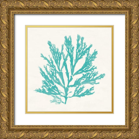 Pacific Sea Mosses I Aqua Gold Ornate Wood Framed Art Print with Double Matting by Wild Apple Portfolio