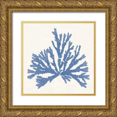 Pacific Sea Mosses IV Light Blue Gold Ornate Wood Framed Art Print with Double Matting by Wild Apple Portfolio