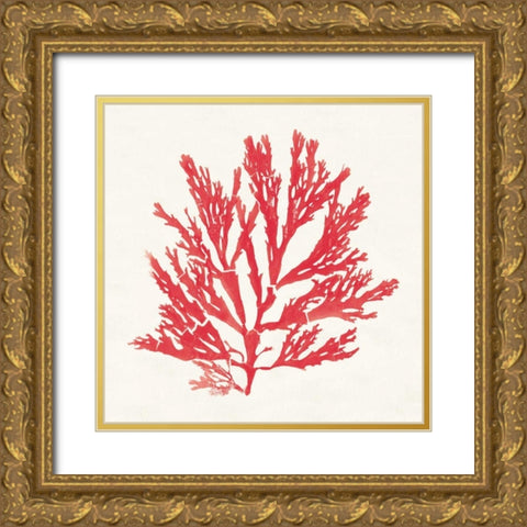 Pacific Sea Mosses I Red Gold Ornate Wood Framed Art Print with Double Matting by Wild Apple Portfolio